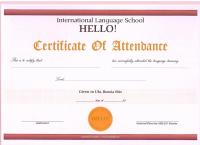Сертификат школы Hello!